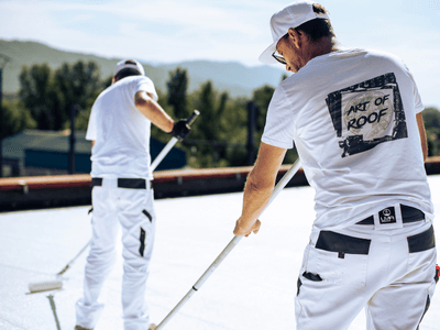 About Leaking Skylight Repair Pros Overton, NV